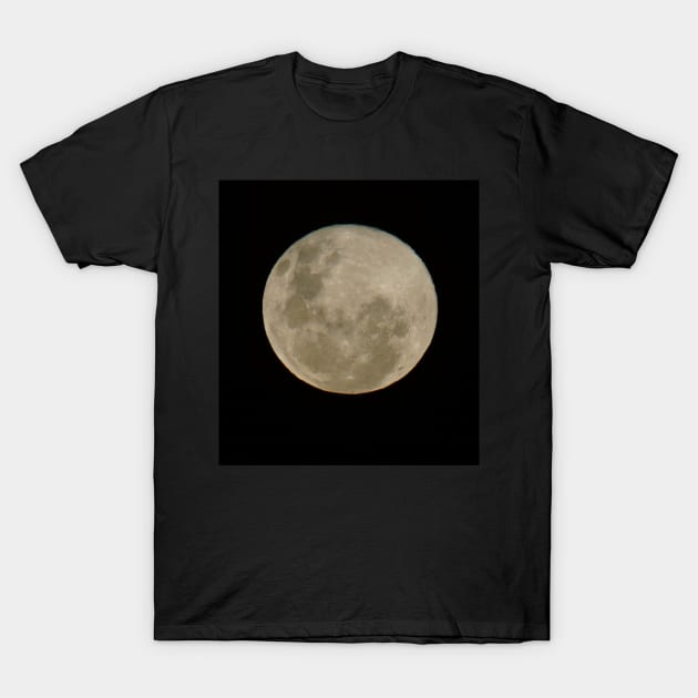 Full Moon T-Shirt by MagpieSprings